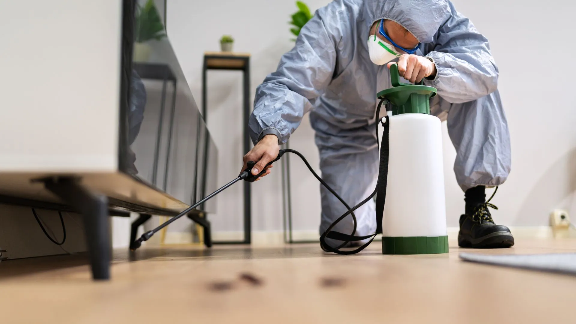 خدمات مكافحة الحشرات الاحترافية في أبو ظبي - pest control technician working